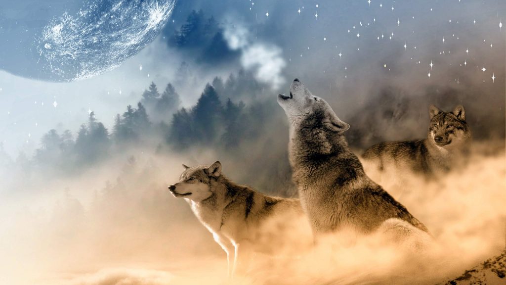 Meeting Your Spirit Guides