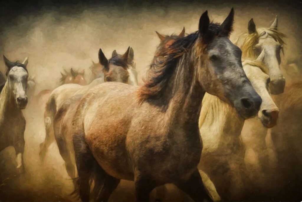 Dreaming About Horses
