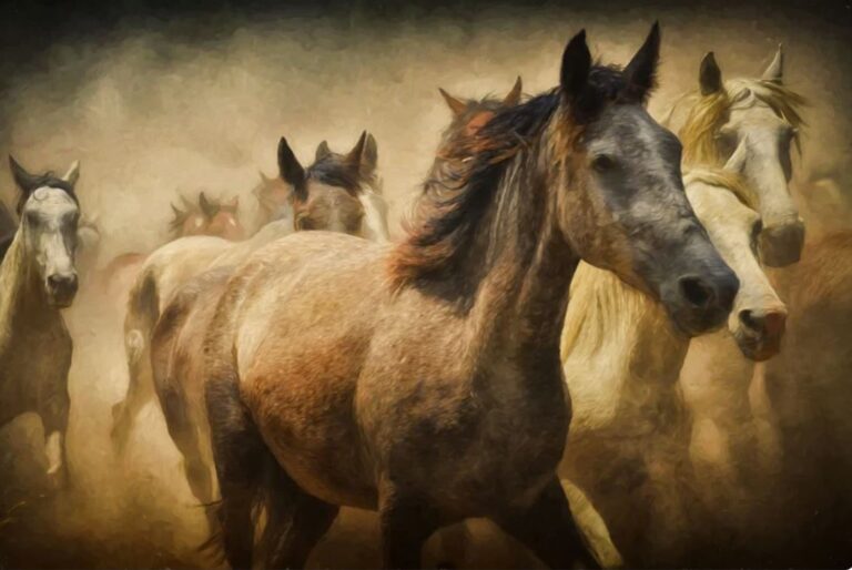 Dreaming About Horses