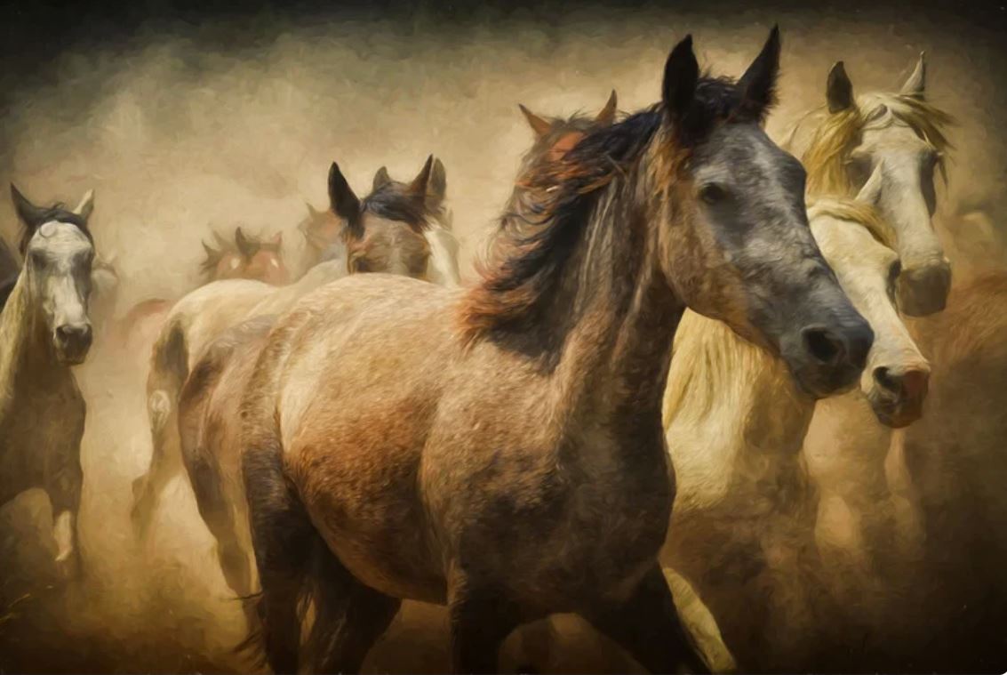 Dreaming About Horses and What This Means